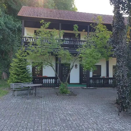Hotel Zur Festwiese 5*
