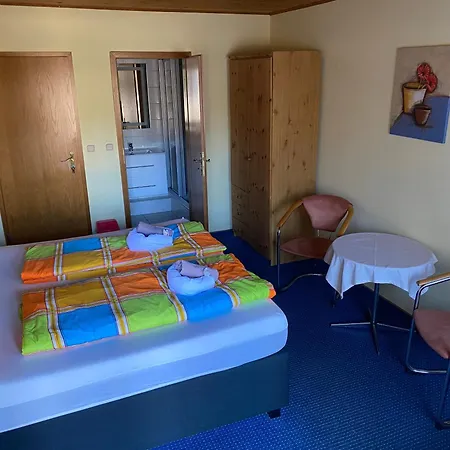 Hotel Zur Festwiese 5*