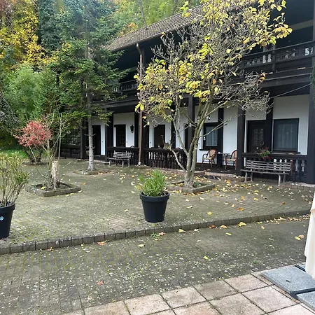 Hotel Zur Festwiese 5*