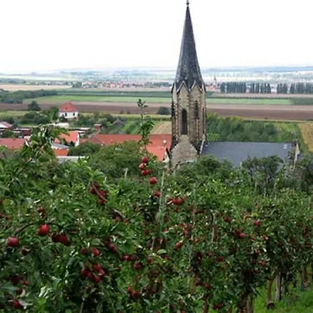 Hotel Zur Festwiese 5*