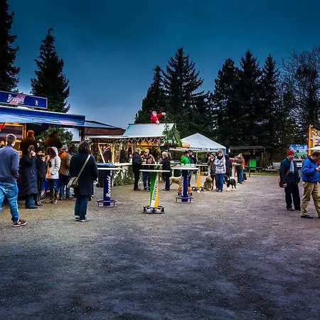 Hotel Zur Festwiese 5*