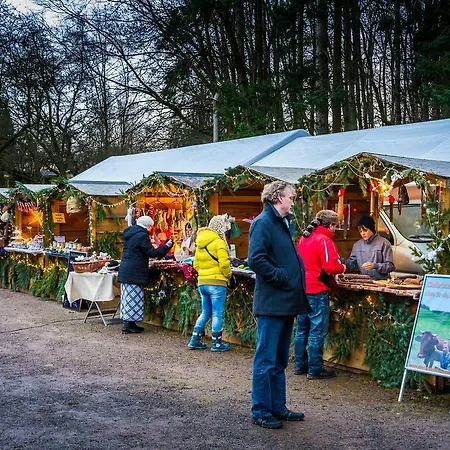 Hotel Zur Festwiese Gierstädt