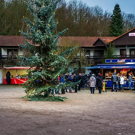 Hotel Zur Festwiese