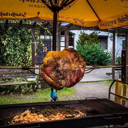 Hotel Zur Festwiese