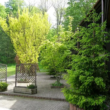 Hotel Zur Festwiese