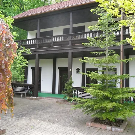 Hotel Zur Festwiese 5*