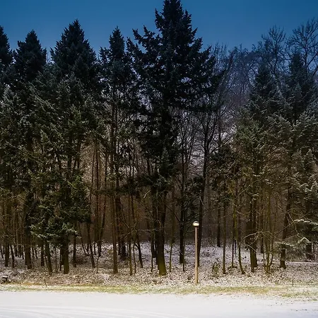 Zur Festwiese