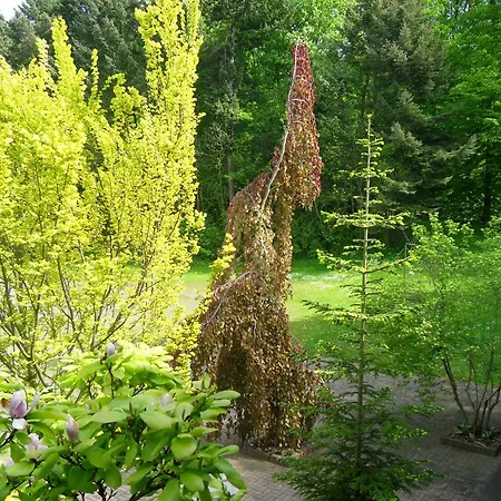 Hotel Zur Festwiese Gierstädt