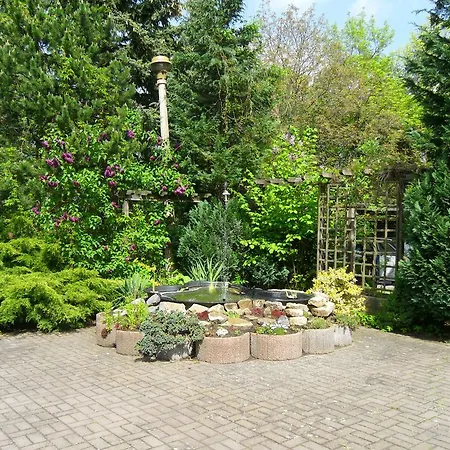 Hotel Zur Festwiese 5*