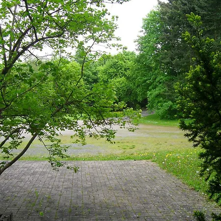 Zur Festwiese