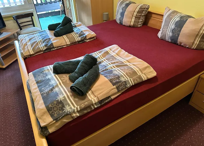 Zur Festwiese Otel 5*