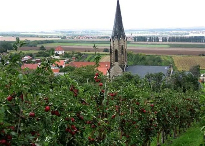 Otel Zur Festwiese 5*