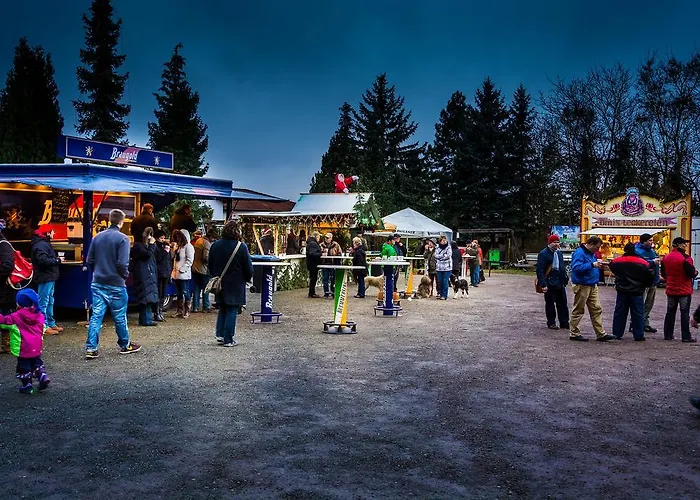 Otel Zur Festwiese 5*