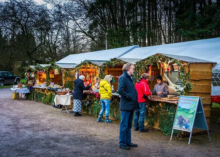Otel Zur Festwiese Gierstädt
