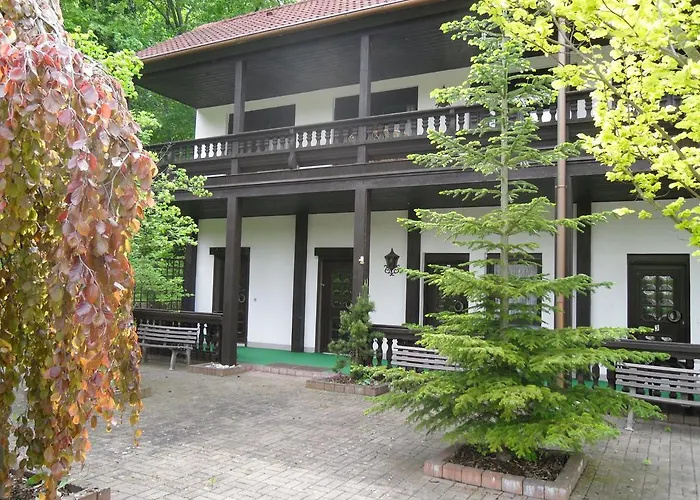 Otel Zur Festwiese 5*