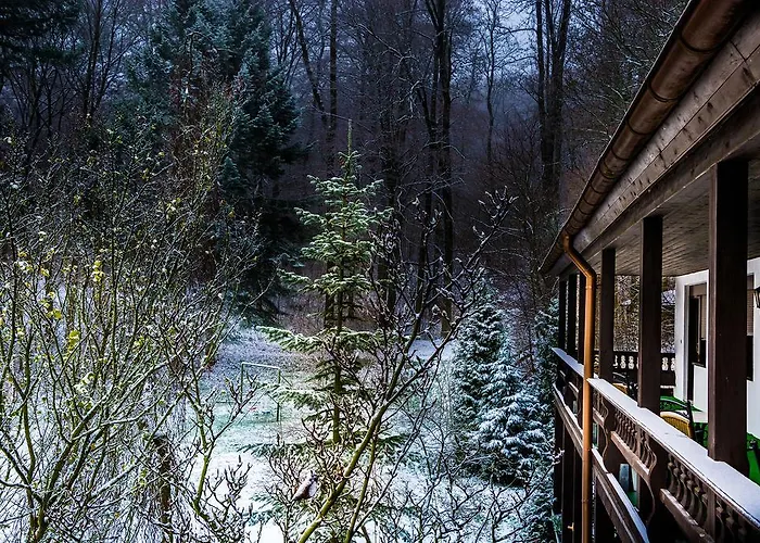 Otel Zur Festwiese Gierstädt