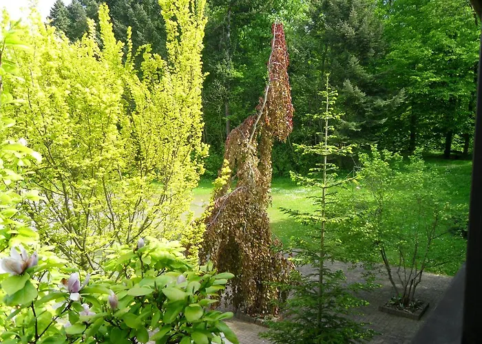 Hotel Zur Festwiese Gierstädt